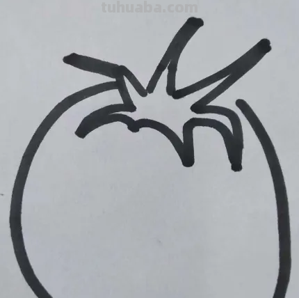 小番茄怎么画