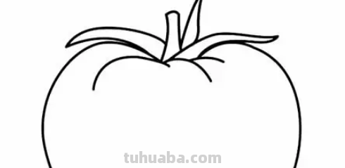 西红柿简笔画