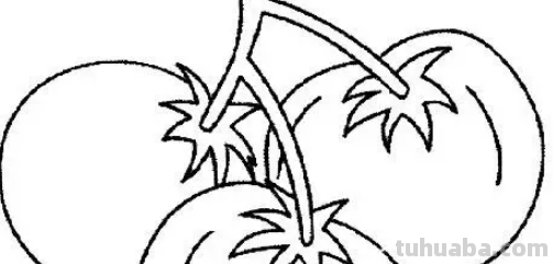 西红柿简笔画