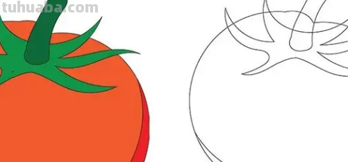 西红柿简笔画