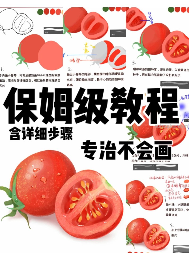 【插画教程】教你画圣女果