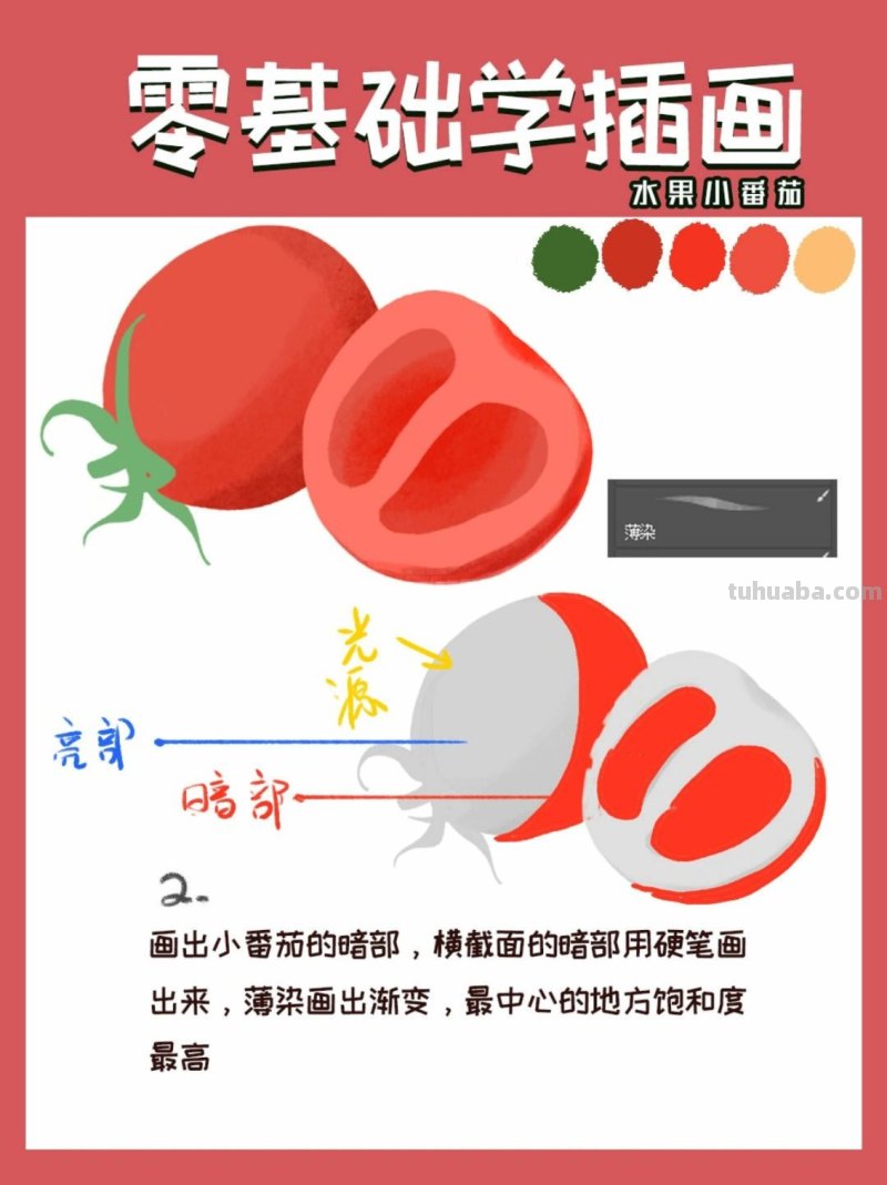 【插画教程】教你画圣女果