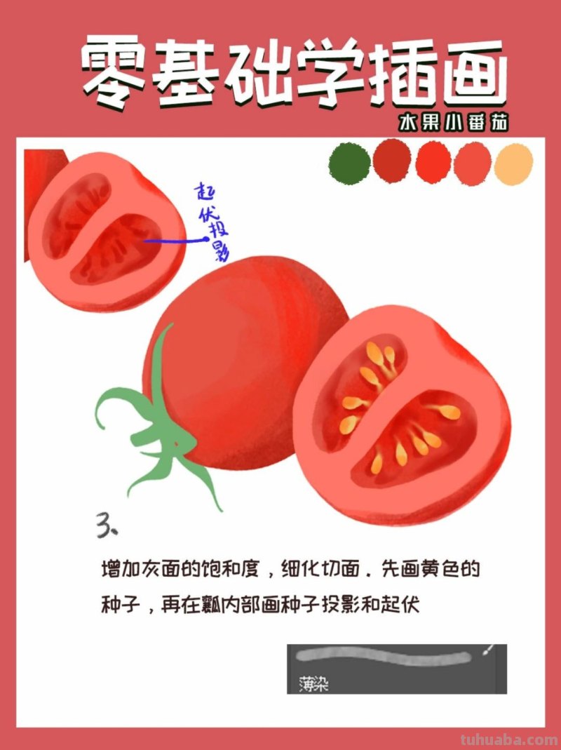 【插画教程】教你画圣女果