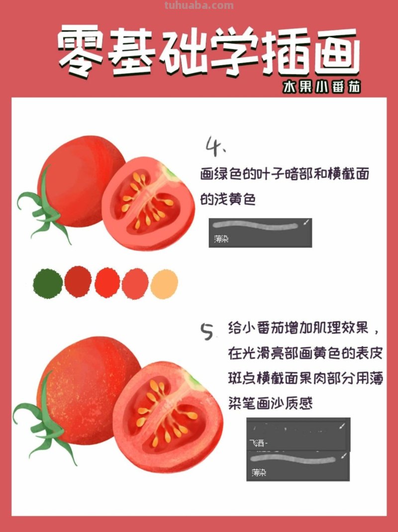 【插画教程】教你画圣女果