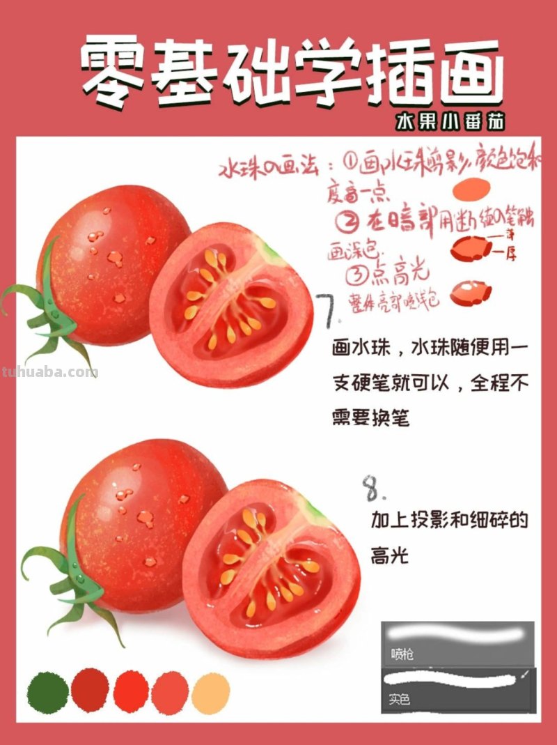 【插画教程】教你画圣女果