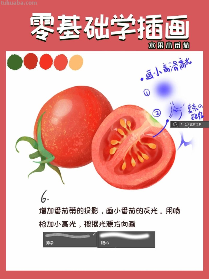 【插画教程】教你画圣女果