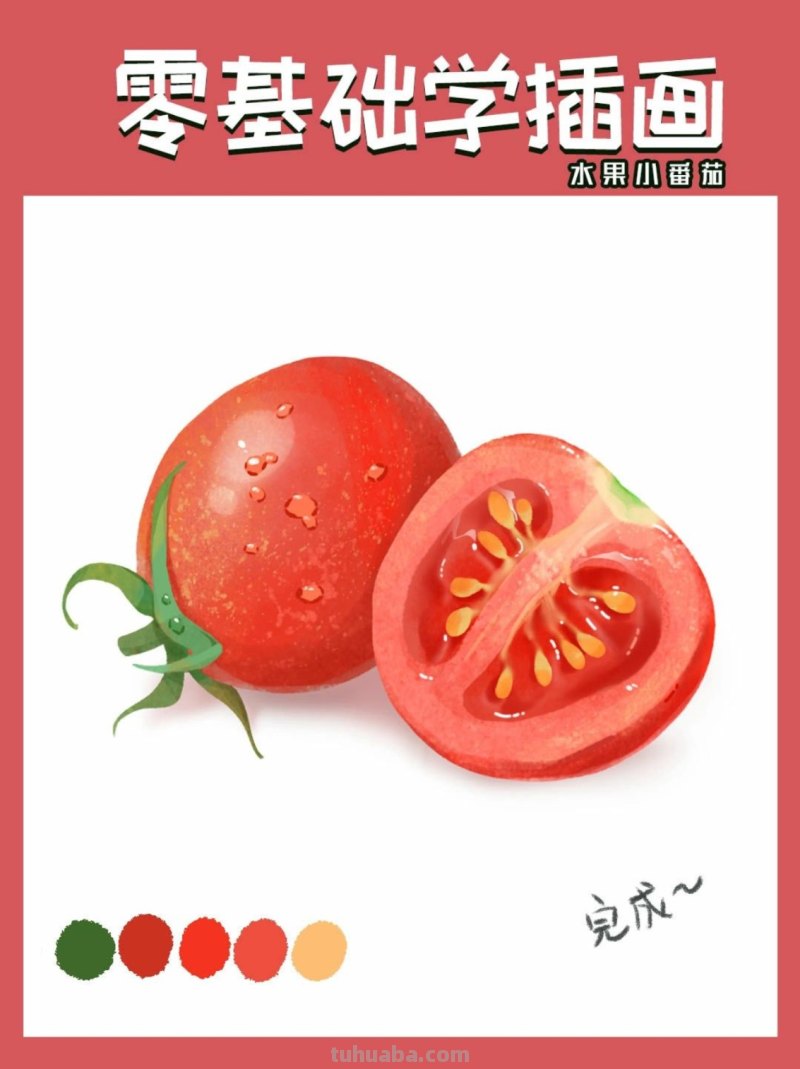 【插画教程】教你画圣女果