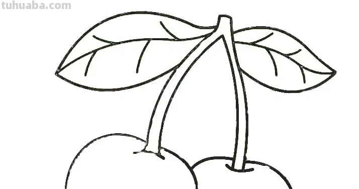 100种水果简笔画法