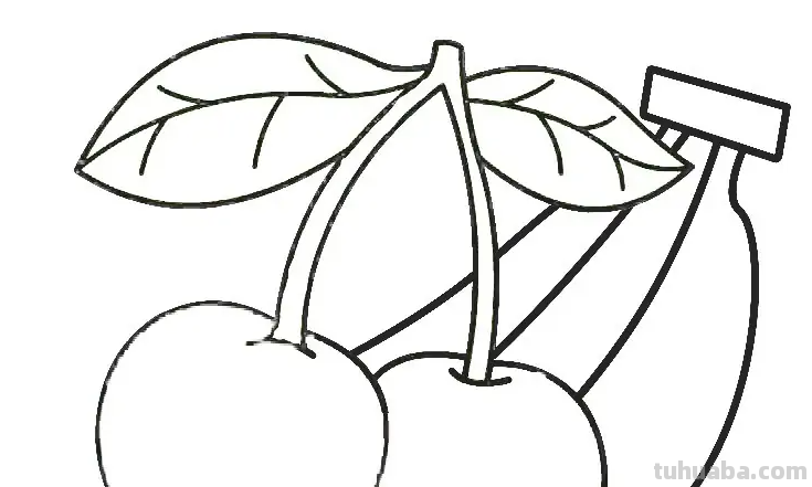 100种水果简笔画法