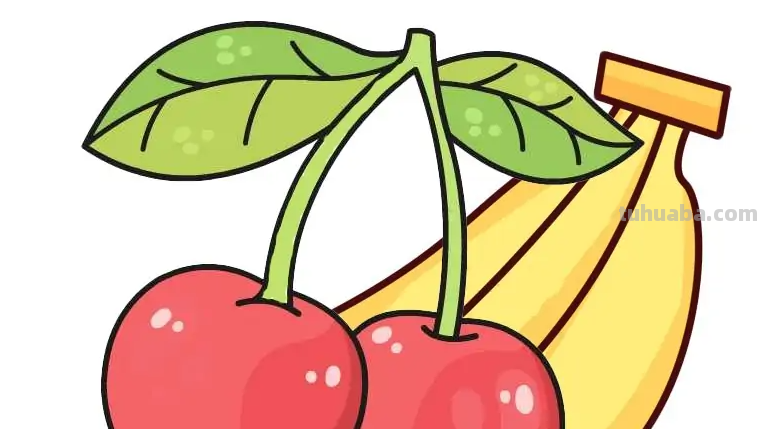 100种水果简笔画法