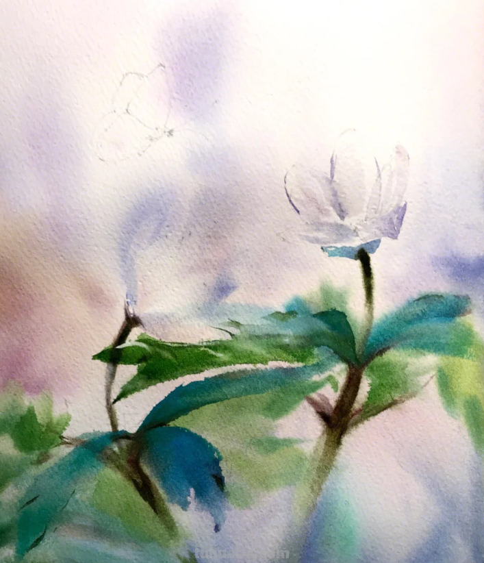 水彩画教程：让你在学习的过程中掌握更多绘画技法，一起画起来吧