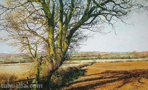 精细唯美风景水彩画｜英国画家Martin Taylor水彩画集
