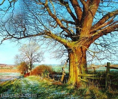 精细唯美风景水彩画｜英国画家Martin Taylor水彩画集