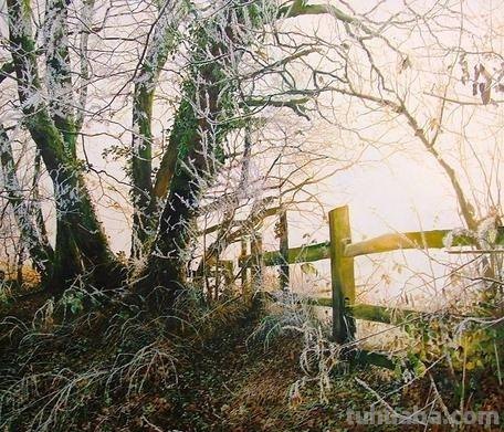 精细唯美风景水彩画｜英国画家Martin Taylor水彩画集