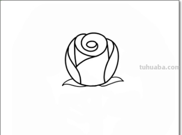 玫瑰花简笔画