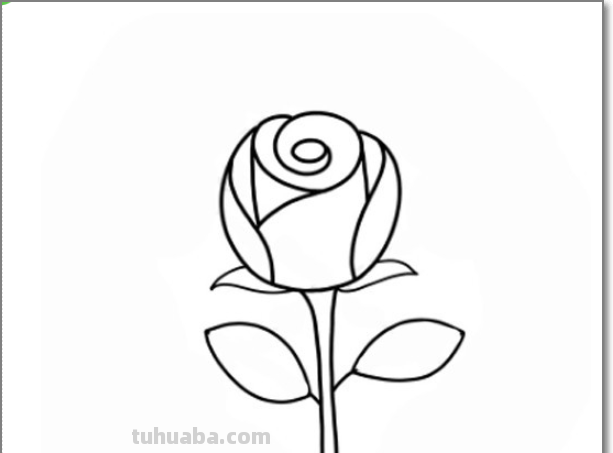 玫瑰花简笔画