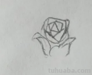 玫瑰花怎么画简笔画