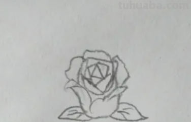 玫瑰花怎么画简笔画