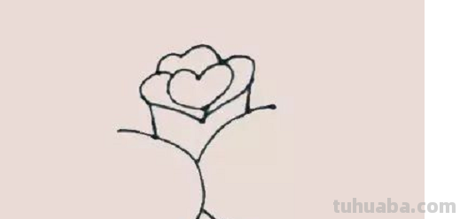 玫瑰简笔画怎么画