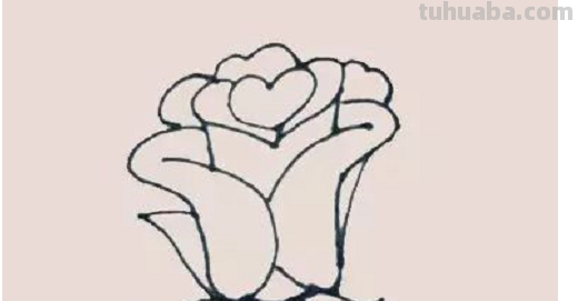 玫瑰简笔画怎么画