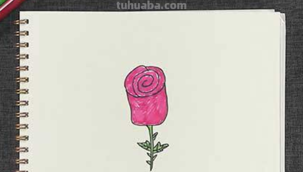 玫瑰花简笔画怎么画