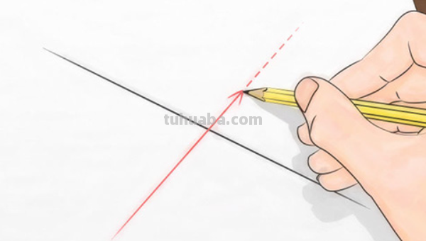 蜘蛛之网怎么画