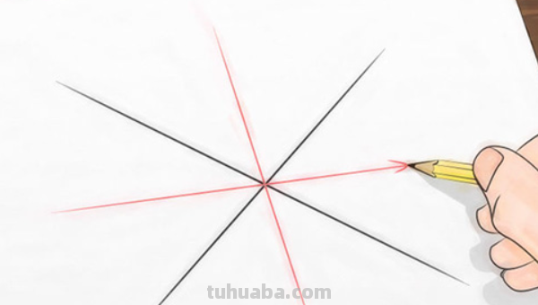 蜘蛛之网怎么画