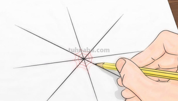 蜘蛛之网怎么画