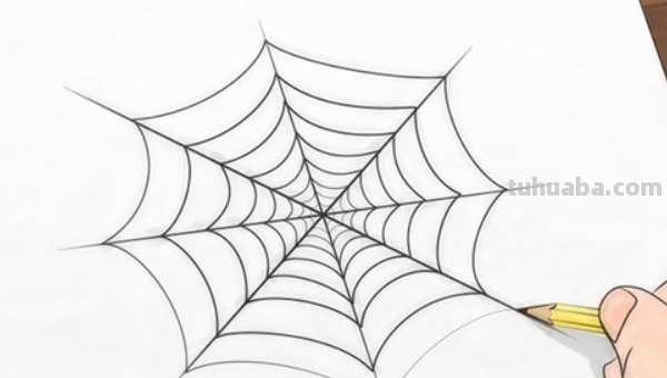 蜘蛛之网怎么画