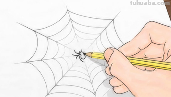 蜘蛛之网怎么画