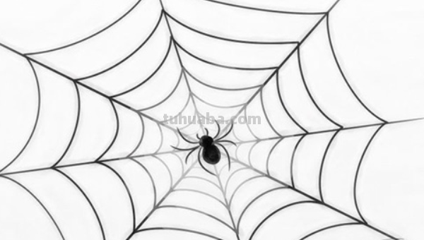 蜘蛛之网怎么画