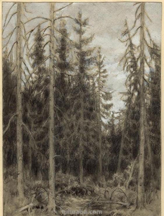 俄罗斯画家的速写作品