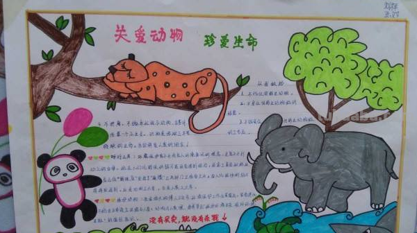 世界动物日手抄报内容资料