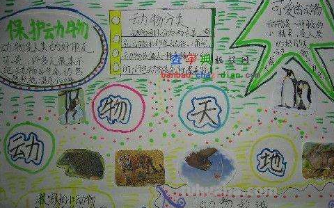 世界动物日手抄报内容资料