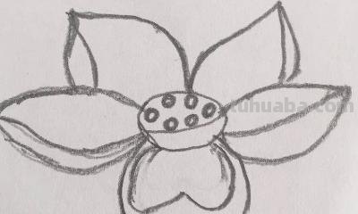 简笔画荷花怎么画 荷花简笔画? 简笔画荷花怎么画 荷花简笔画?