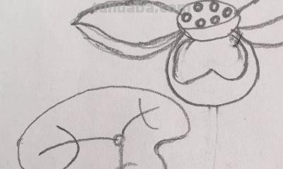 简笔画荷花怎么画 荷花简笔画? 简笔画荷花怎么画 荷花简笔画?