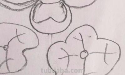 简笔画荷花怎么画 荷花简笔画? 简笔画荷花怎么画 荷花简笔画?