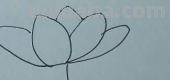 简笔画荷花怎么画 荷花简笔画? 简笔画荷花怎么画 荷花简笔画?
