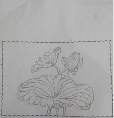 简笔画荷花怎么画 荷花简笔画? 简笔画荷花怎么画 荷花简笔画?