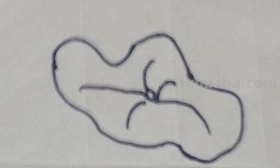 简笔画荷花怎么画 荷花简笔画? 简笔画荷花怎么画 荷花简笔画?
