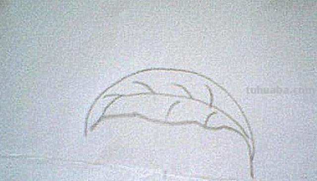 茶怎么画简笔画 简笔画茶叶的画法? 茶怎么画简笔画 简笔画茶叶的画法?