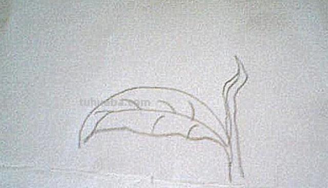 茶怎么画简笔画 简笔画茶叶的画法? 茶怎么画简笔画 简笔画茶叶的画法?