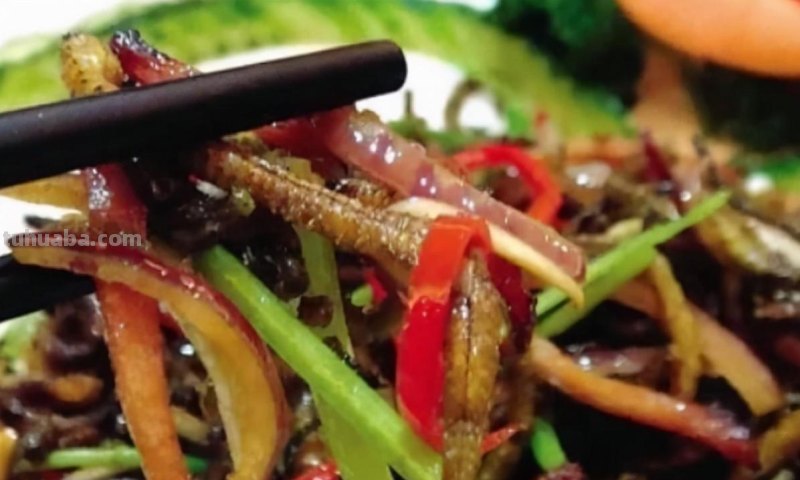 广东10大另类美食小吃，本地人视为美味，外地食客无从下嘴