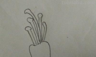 鲜花怎么画简笔画 简笔画:如何教小朋友画出美丽的花朵? 鲜花怎么画简笔画 简笔画:如何教小朋友画出美丽的花朵?
