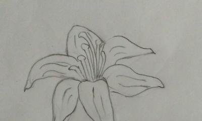 鲜花怎么画简笔画 简笔画:如何教小朋友画出美丽的花朵? 鲜花怎么画简笔画 简笔画:如何教小朋友画出美丽的花朵?