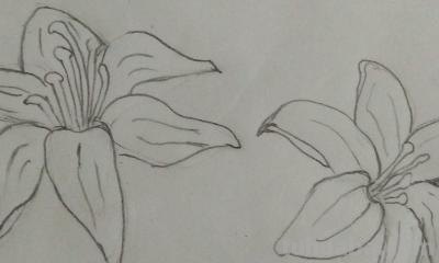 鲜花怎么画简笔画 简笔画:如何教小朋友画出美丽的花朵? 鲜花怎么画简笔画 简笔画:如何教小朋友画出美丽的花朵?