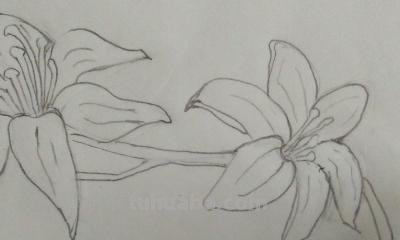 鲜花怎么画简笔画 简笔画:如何教小朋友画出美丽的花朵? 鲜花怎么画简笔画 简笔画:如何教小朋友画出美丽的花朵?