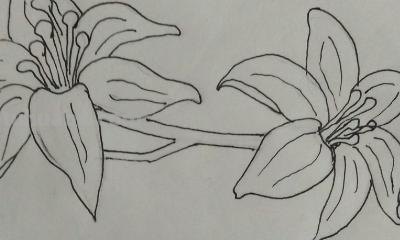 鲜花怎么画简笔画 简笔画:如何教小朋友画出美丽的花朵? 鲜花怎么画简笔画 简笔画:如何教小朋友画出美丽的花朵?