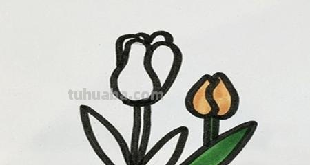 鲜花怎么画简笔画 简笔画:如何教小朋友画出美丽的花朵? 鲜花怎么画简笔画 简笔画:如何教小朋友画出美丽的花朵?