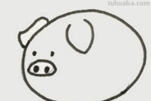 小猪怎么画简单又漂亮